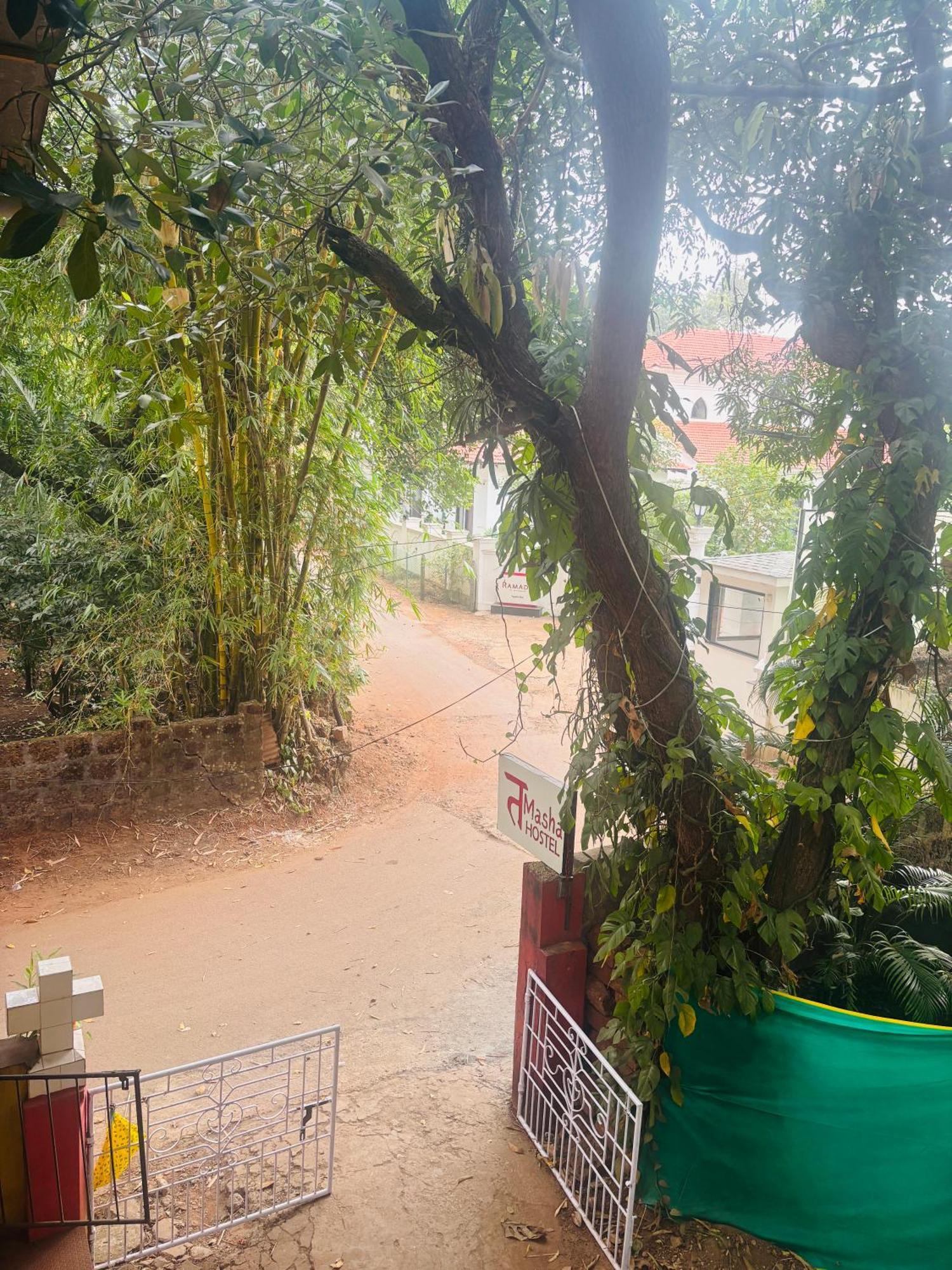 Tamasha Goa Vagator Hostel Exterior photo